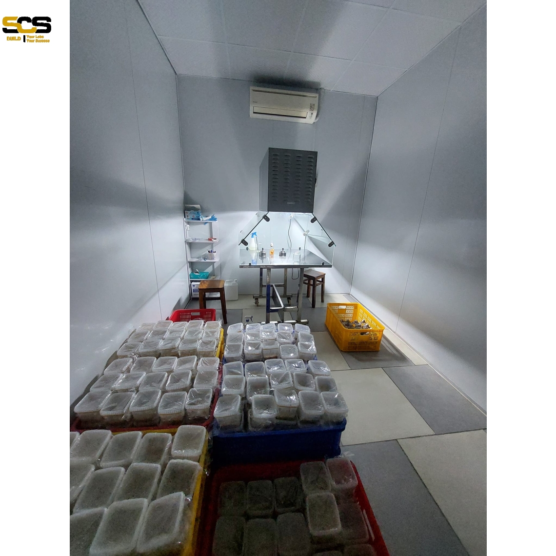 Tủ cấy vô trùng giá rẻ