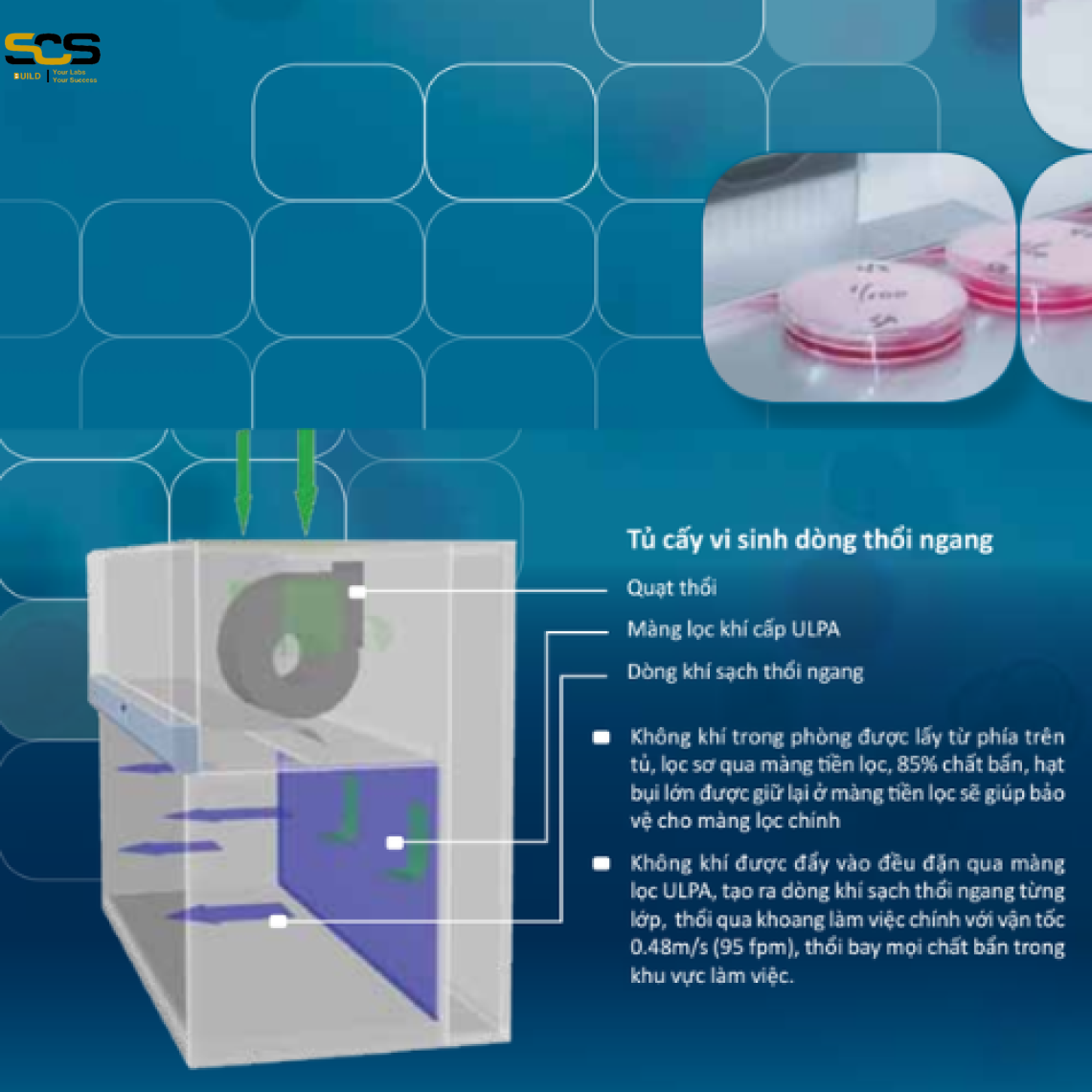 Tủ cấy, tủ cấy mô, tủ cấy đơn, tủ cấy đôi, tủ cấy giá tốt, Box cấy giá rẻ , tủ cấy đông trùng hạ thảo, clenbech phòng sạch, tủ cấy mô chuối, tủ cấy mô lan